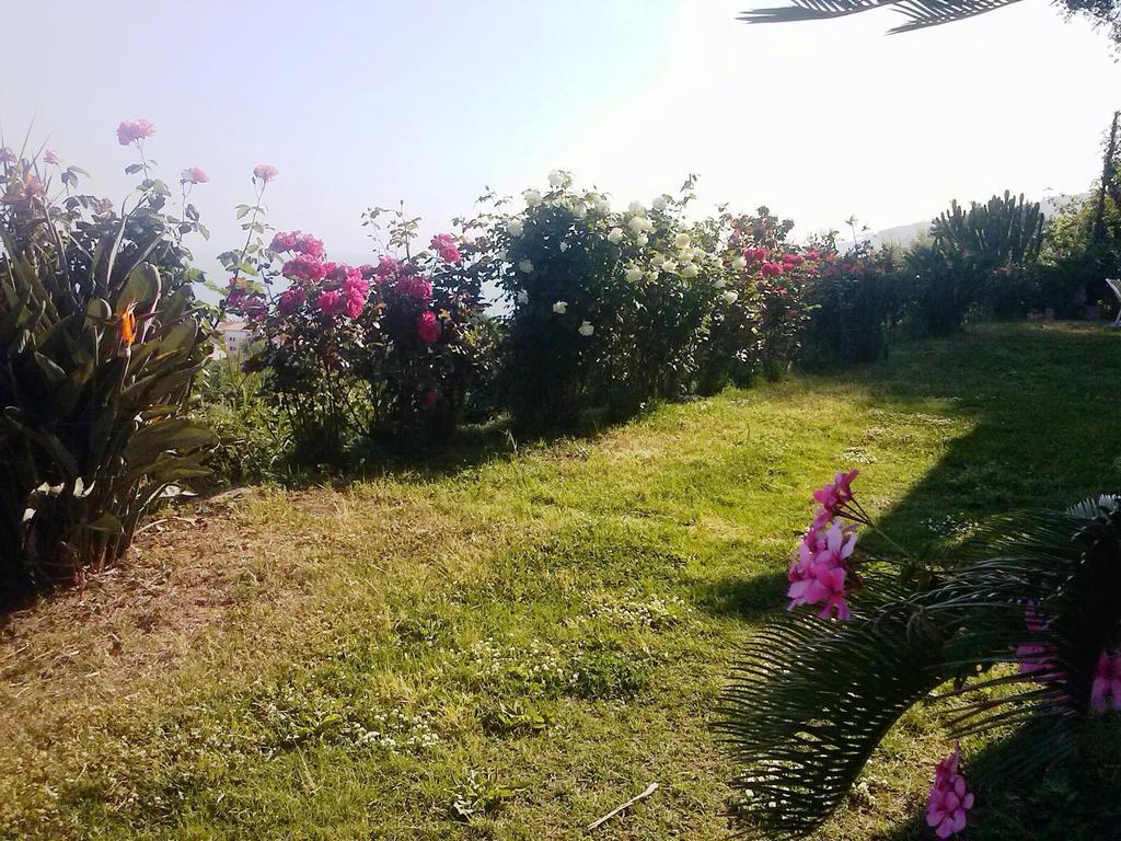 Villa Fontana Tropea Ngoại thất bức ảnh